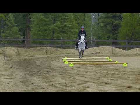 2017.11.22 cavalletti