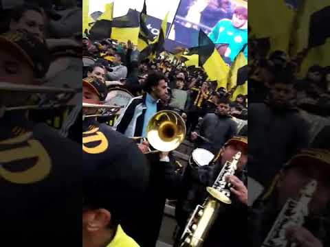 "Peñarol- Percusión Barra Amsterdam en el estadio campeón del siglo" Barra: Barra Amsterdam • Club: Peñarol