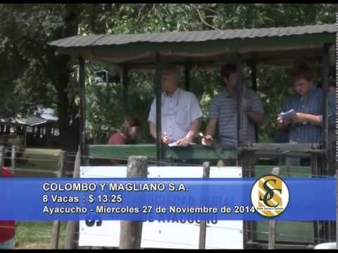 Colombo y Magliano S.A. - Venta Gordo - Ayacucho - 26/11/2014