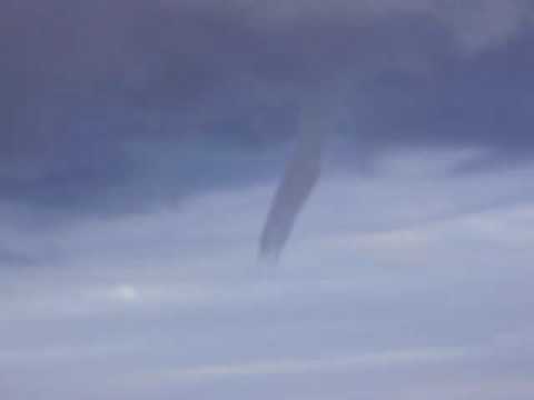 GATÃO DA INTERNET 8