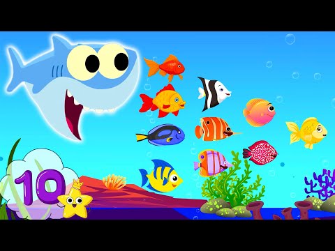 10 Little Fishies  | Kids Songs And Nursery Rhyme  | Billion Kiddo