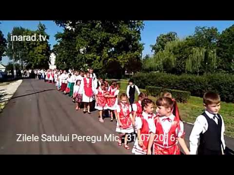 Zilele Satului Peregu Mic - 31.07.2016