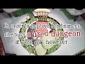 Gameplay video of The Sealed Ampoule  All Platforms