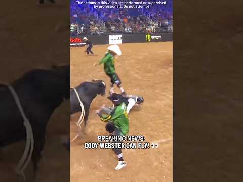 A collection of highlights of bullfighting#fyp #pov #pet #funny