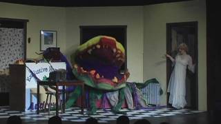 Sominex / Suppertime II from Little Shop of Horrors (TBTA)