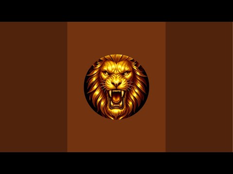 WMO European Championship Finals 2025, Sevilla Spain