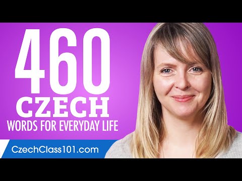 460 Czech Words for Everyday Life - Basic Vocabulary #23