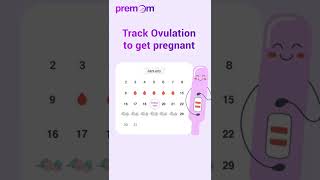 Menstrual Cycle & Fertility Calculator