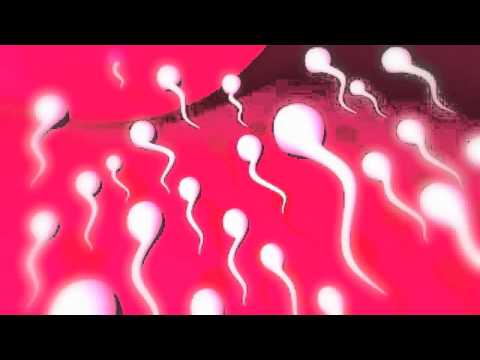 Kemm Aw Liba Ttir - Bobzot Productions