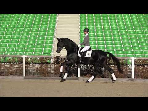 SIR GRADITZ v. Sezuan