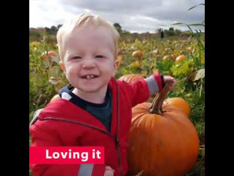 Buttercup Lane Childminders in East Ardsley Visit Bert's Barrow