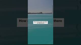 Which Pool on P&O Arvia Would You Jump Into First this Summer?