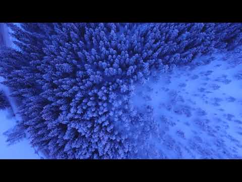 al l bo feat Petr - Cosmic aircraft (Dj Карцеп mash up)