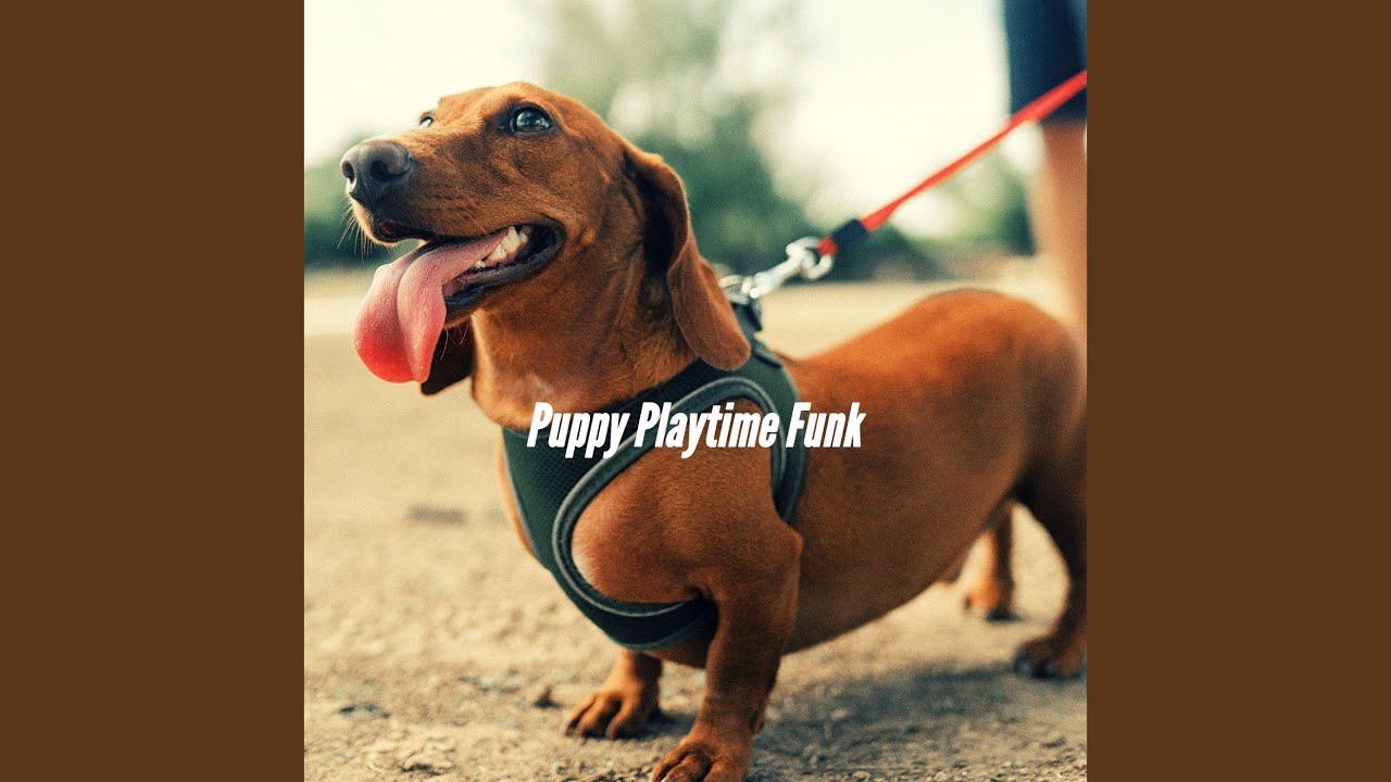 Hypnotic Moods for Resting Pup