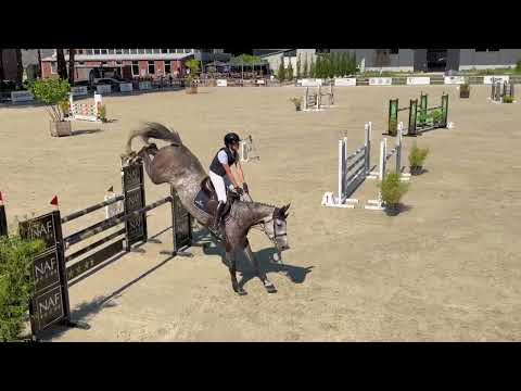 Cayenne Blue vd 3 Leien Z video 3