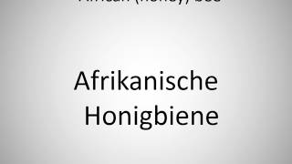How to say African (honey) bee in German?