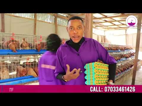 , title : 'HOW TO START A POULTRY FARM IN NIGERIA'