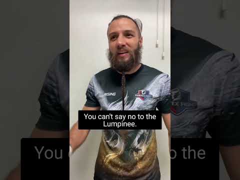 What Happens After The Fight With Alex Bubble