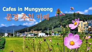 Two Cafes with a Good Atmosphere Recommended in Mungyeong, South Korea (문경 카페 추천: 고더스커피로스터리 & 피코)
