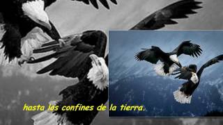 Tina Turner &amp; Sting - Silent Wings (Español)