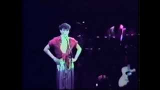 MPB - Caetano Veloso (1987) - Mário Luiz Thompson