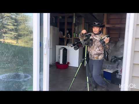 Umarex Gauntlet 2 SL25, .25 Cal, side Lever, air rifle, review.