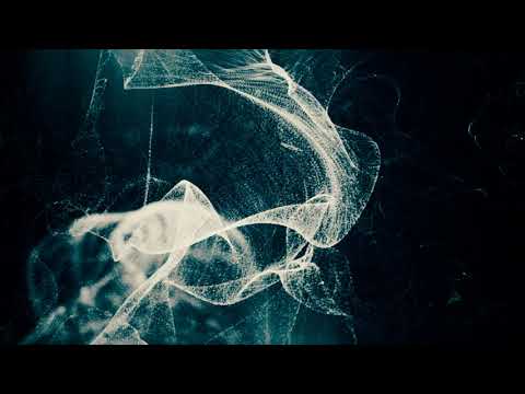 Video ID gOjqTD2E3WI