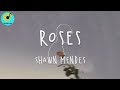 Shawn Mendes - Roses (Lyric Video)