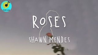 Shawn Mendes - Roses (Lyric Video)