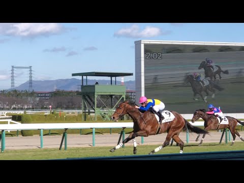 【現地】エアアネモイ メイクデビュー阪神 新馬戦