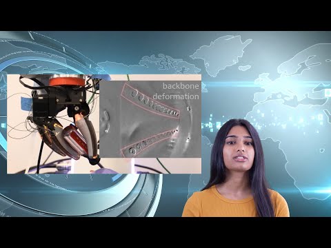 GelSight Svelte Hand Review Video 2