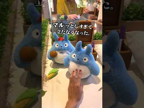 I made a one-of-a-kind Totoro! #shorts