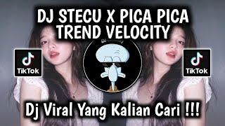 Download lagu DJ STECU X PICA PICA SLOWED VIRAL TIKTOK 2025 ! mp3