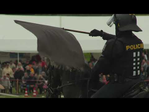 Formanský den Borová 2025