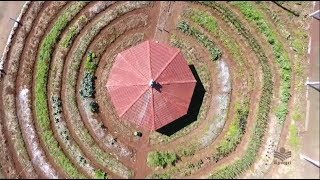 Pouca terra, muitos sonhos!