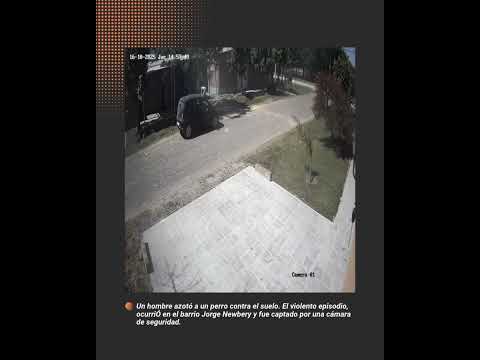 😡 La tranquila localidad de Sauce Viejo vive horas de conmoción y enojo tras viralizarse en redes…