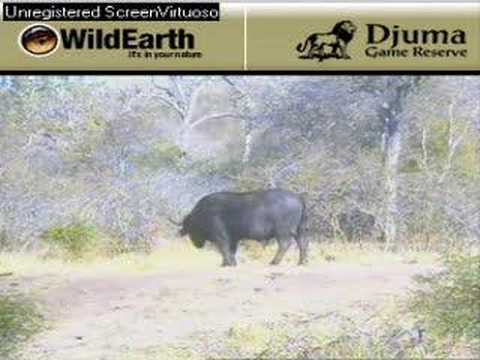 Sunrise drive 080907-9