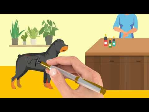 The inside story of why cbd or hemp oil is so beneficial to humans and animals. this is a