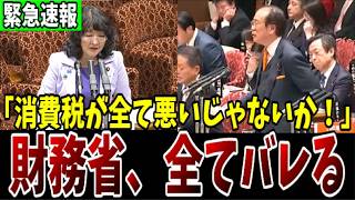 【核心の質疑】消費税が全て悪いじゃないか！参政党・安藤議員が消費税の実態について国会で暴露して財務省を追い込んだ結果…