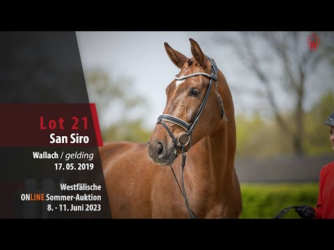 Sommer-Auktion Lot 21 San Siro Wallach v. Sezuan's Donnerhall -  Quotenkönig