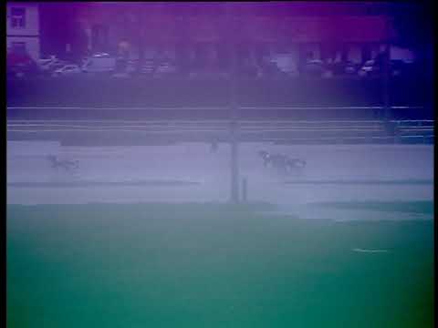 Trotto 13/12/2019 - prova di qualifica