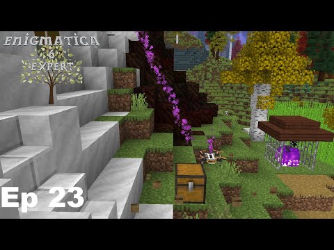Enigmatica 6 Expert Mode - Ep 23 Amadron Delivery!