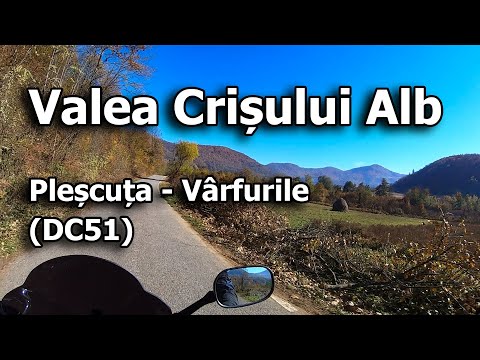 Plescuta - Varfurile | Valea Crisului Alb