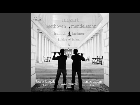 Trois Duos de Mendelssohn et Lachner: I. Allegretto non troppo