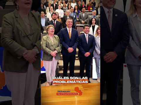 Patricio Ortega, Gobernación de Cordillera.