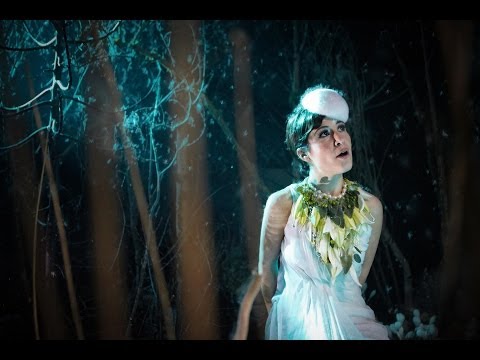 Hannah Schneider - Lay Of The Land video