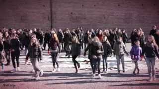 preview picture of video 'Flash mob - 25 Novembre  - Trino (vc)'