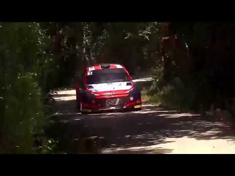 Highlights shakedown of the Rally del Friuli Venezia Giulia - Rally Alpi Orientali Historic | 2021