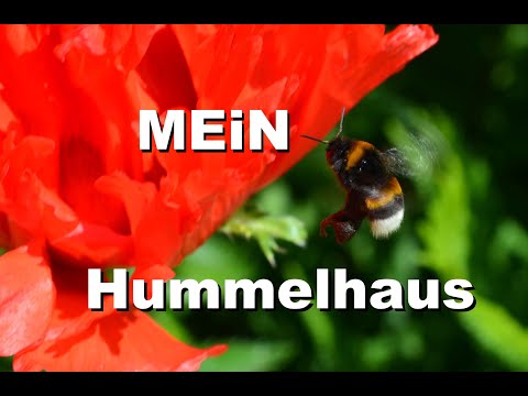 Mein Hummelhaus ist fertig