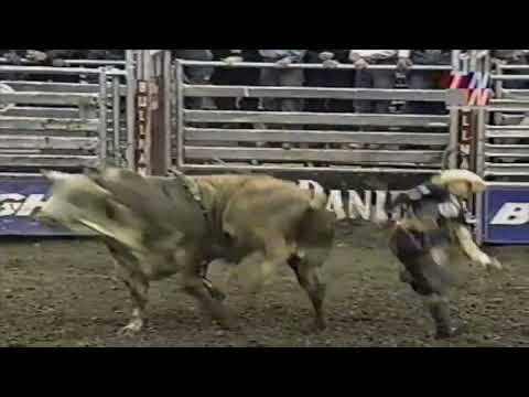 Hollywood bucks Adriano Moraes - 01 PBR Nashville